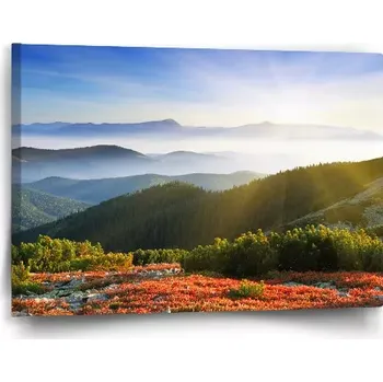 Obraz Sablio Obraz Příroda - 60x40 cm