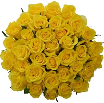 umělá květina Kytice 35 žlutých růží SOLERO 70 cm