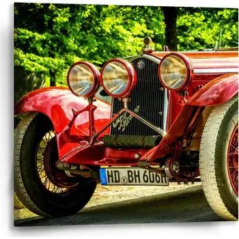 Obraz Sablio Obraz Veterán 2 - 50x50 cm