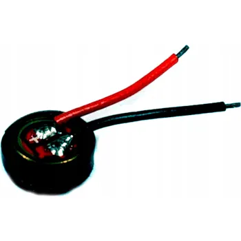 Bezpečnostní kamera Řídicí jednotka Elektroweb Mikrofon od LilyGO určená pro GSM moduly