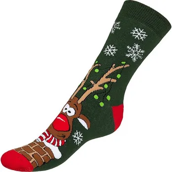 Pánské ponožky Ponožky Termo Rudy 6 Zelená - 35-41 BX1001218