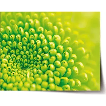 Plakát Sablio Plakát Detail květiny - 90x60 cm