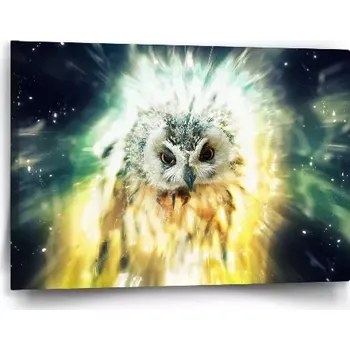 Obraz Sablio Obraz Sova - 60x40 cm