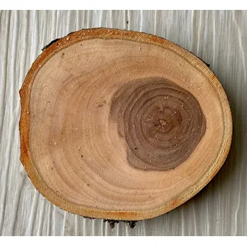 Podtácek Jabloň 25cm