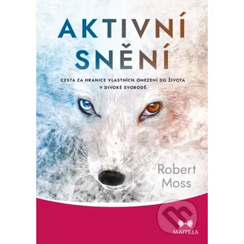 Kniha Aktivní snění - Robert Moss Maitrea