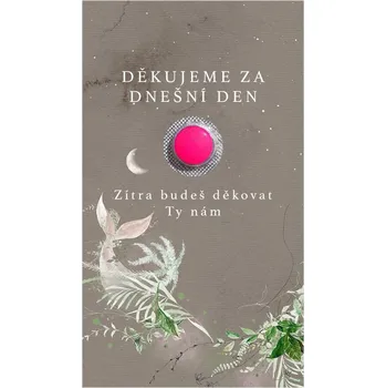 Krabička na výslužku Kartička na ibalgin 278