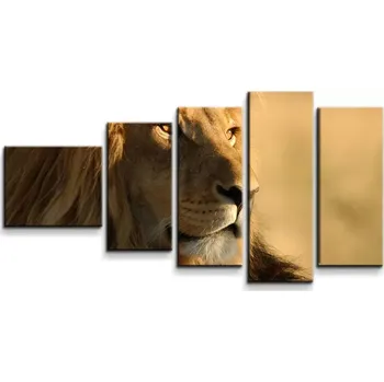 Obraz Sablio Obraz - 5-dílný Lev 3 - 100x60 cm