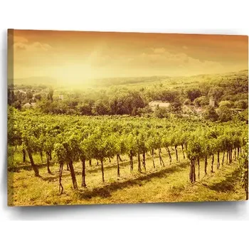 Obraz Sablio Obraz Vinice - 60x40 cm
