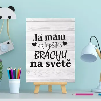 Plechová cedule Sablio Dárková cedulka Já mám nejlepšího bráchu na světě: 30x40 cm