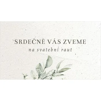 Pozvánka Pozvánka na raut 347