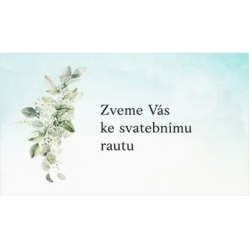 Pozvánka Pozvánka na raut 295