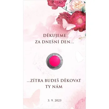 Krabička na výslužku Kartička na ibalgin 266