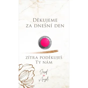 Krabička na výslužku Kartička na ibalgin 318