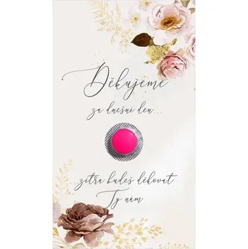 Krabička na výslužku Kartička na ibalgin 277