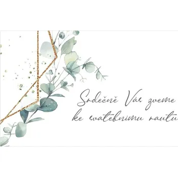 Pozvánka Pozvánka na raut 250