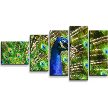 Obraz Sablio Obraz - 5-dílný Páv - 100x60 cm