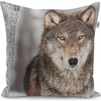 Polštář Sablio Polštář Vlk 2 - 50x50 cm