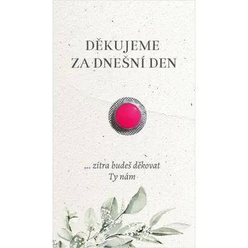 Krabička na výslužku Kartička na ibalgin 347