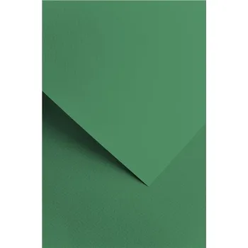 Barevný papír Galeria papieru Designový papír A4 Sawanna, 220 g, zelený, 20 ks