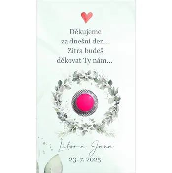 Krabička na výslužku Kartička na ibalgin 253