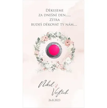 Krabička na výslužku Kartička na ibalgin 248