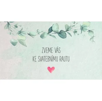 Pozvánka Pozvánka na raut 230