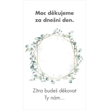 Krabička na výslužku Kartička na ibalgin 250