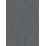 Breno PVC RANGER Bronx G96 – tmavě šedý beton, šíře 400 cm