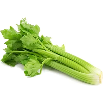 BIO Celer řapíkatý, 300g