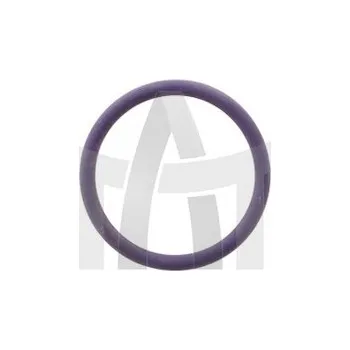 Sada O-kroužků vstřikovače DAF CF75 XF95 XF105 LEMA LE122888