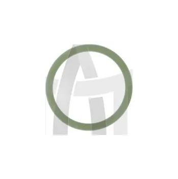 Těsnění OR vstřikovače DELPHI 7200-0404