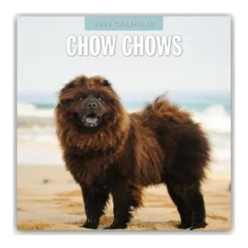 Diář Chow Chows - Chow Chow 2026 - 16-Monatskalender (EN)