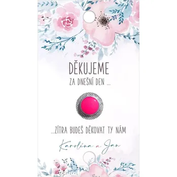 Krabička na výslužku Kartička na ibalgin 261