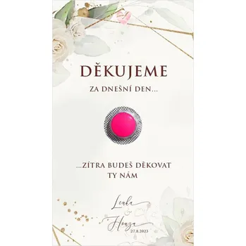 Krabička na výslužku Kartička na ibalgin 275