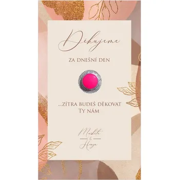 Krabička na výslužku Kartička na ibalgin 331