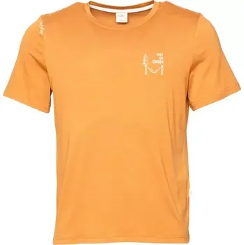 Pánské tričko Tričko Chillaz Out Of Order orange brown L