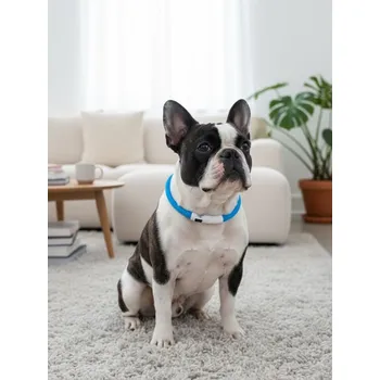 Obojek pro psa Sinsay - LED obojek pro psa - modrá - 344EJ-05X - 344EJ-05X-ONE