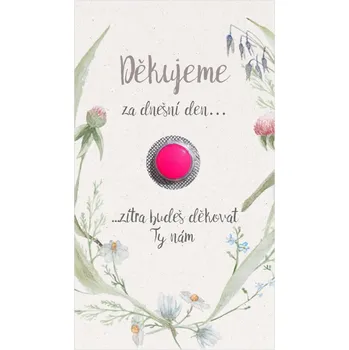 Krabička na výslužku Kartička na ibalgin 257