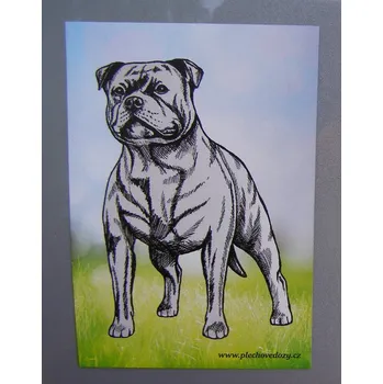 Dekorativní magnet Magnetka - stafordšír