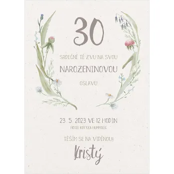Pozvánka Narozeninová pozvánka 23 - jemné luční kvítí