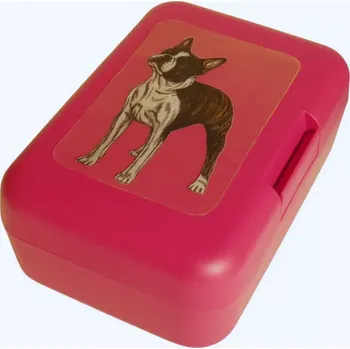 Dóza na potraviny Bostonek - plastový box (objem 0,9 l / 1,2 l)