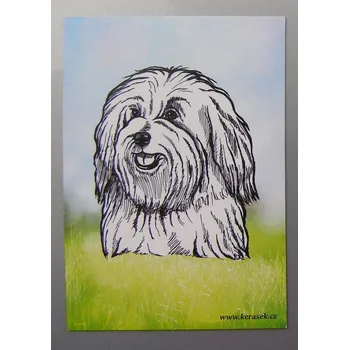 Dekorativní magnet Magnetka - cotonek