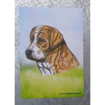 Dekorativní magnet Magnetka - středoasiat