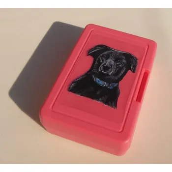 Dóza na potraviny Černý psík - plastový box (objem 0,9 l / 1,2 l)