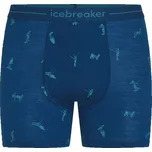 Icebreaker Men's Merino 150 Anatomica Boxers Ski Day - atlantis/topaz/aop XL