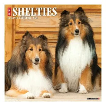 Kalendář Shelties 2026 12 X 12 Wall Calendar (Kalendář)
