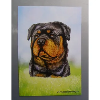 Dekorativní magnet Magnetka - rotvajler