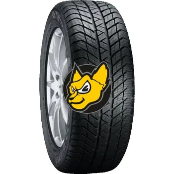 Zimní osobní pneu PLATIN RP-70-WINTER 225/50 R18 99V XL FR M+S