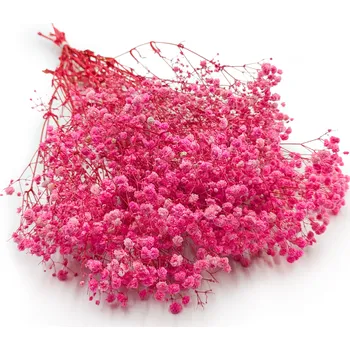 mech-mech.cz Stabilizovaný Šater - (Gypsophila) - Royal Bouquet - tmavě růžový