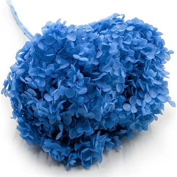 umělá květina mech-mech.cz Stabilizovaná hortenzie (Hydrangea Cabeza) - Royal - Modrá